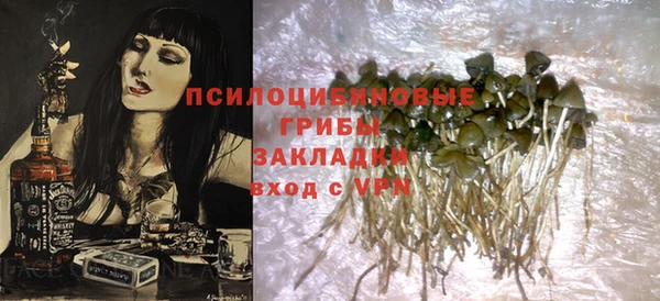 прущий лед Бородино
