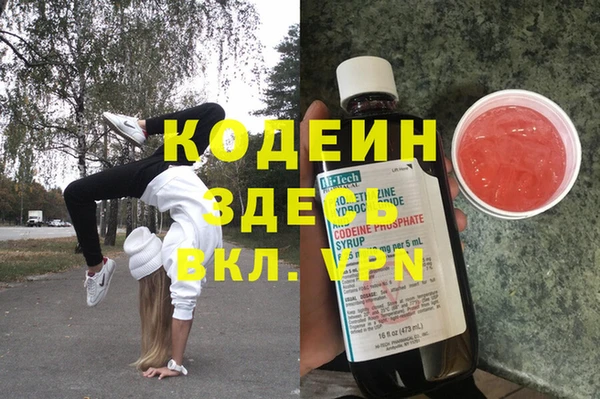 прущий лед Бородино