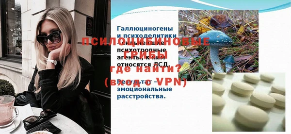 прущий лед Бородино