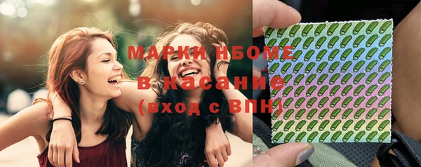прущий лед Бородино