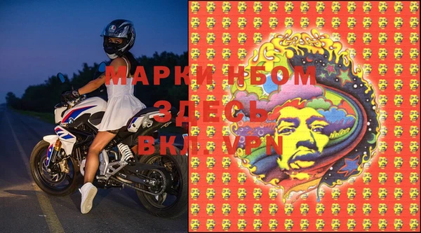 прущий лед Бородино