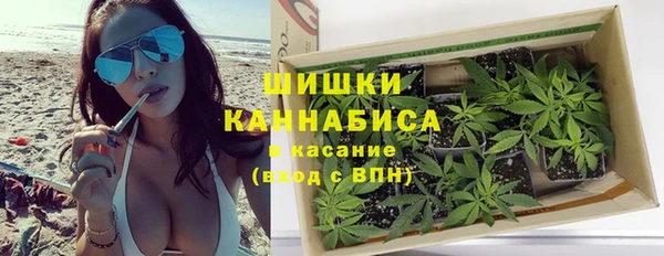 прущий лед Бородино