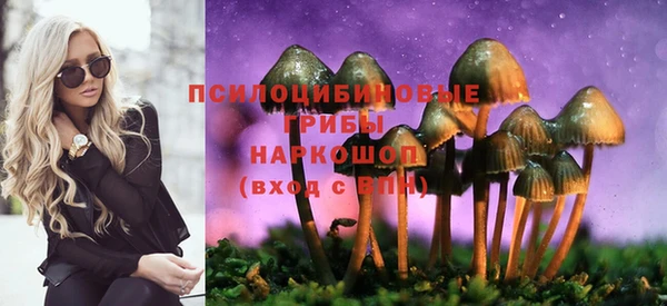 прущий лед Бородино