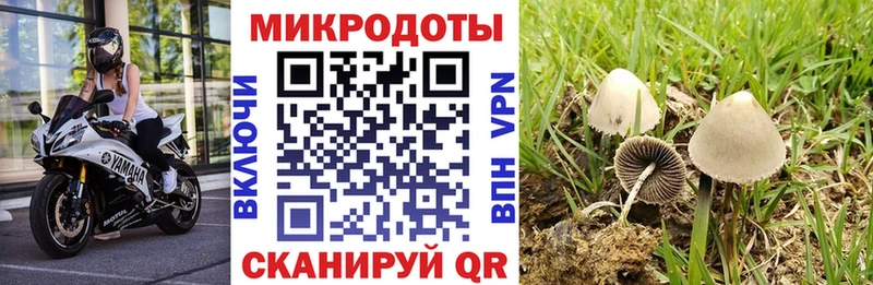 Псилоцибиновые грибы ЛСД  дарк нет телеграм  Княгинино  mega ссылки 